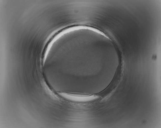 X0000113060932200910091140