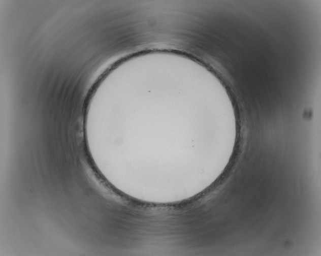 X0000113060934200910091140