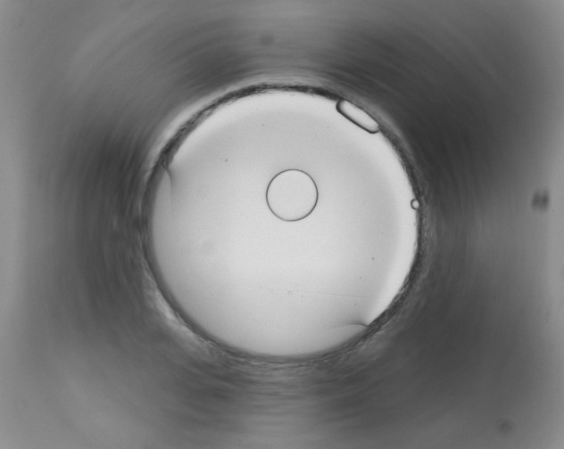X0000113060935200910091140