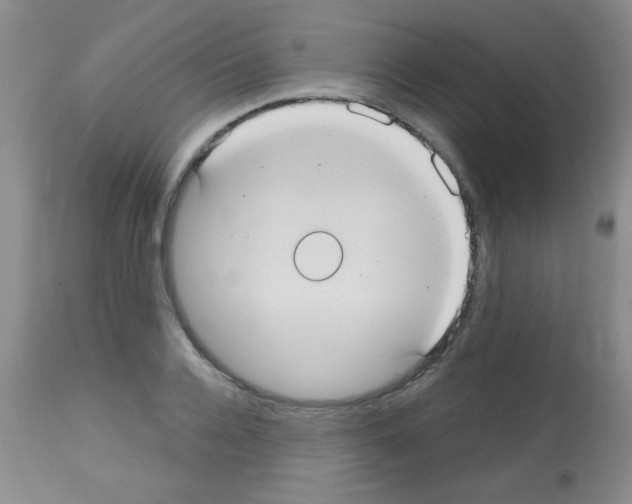 X0000113060936200910091140
