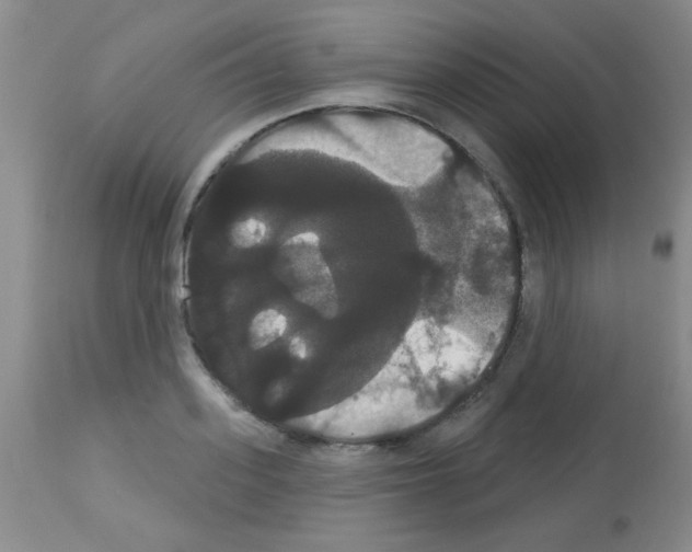 X0000113060939200910091140