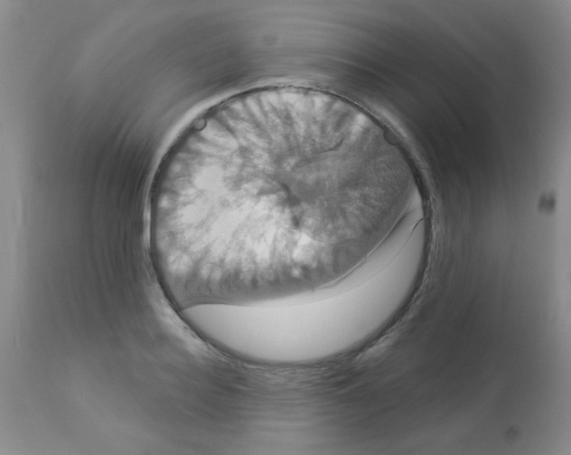 X0000113060940200910091140