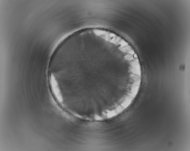 X0000113060943200910091140