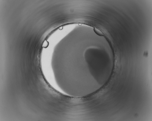 X0000113060944200910091140