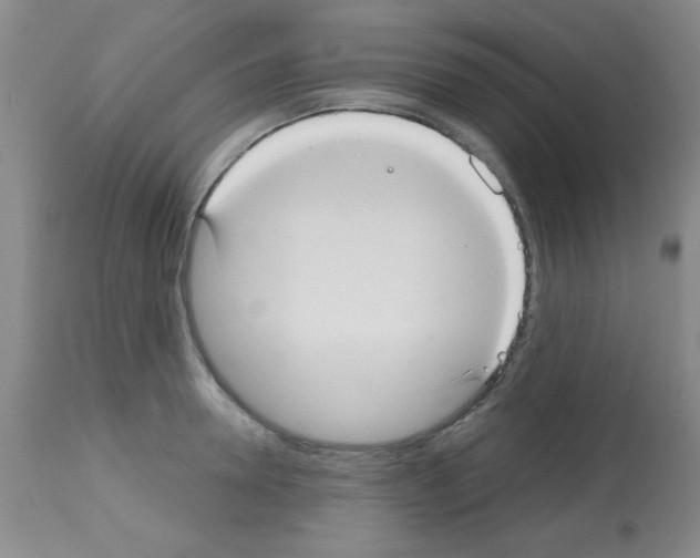 X0000113060946200910091140