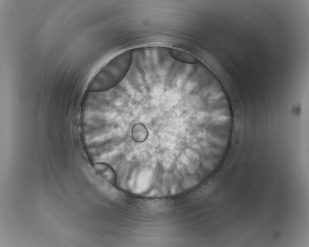 X0000113060948200910091140