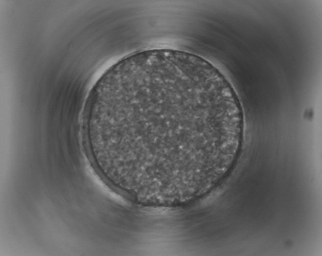 X0000113060949200910091140