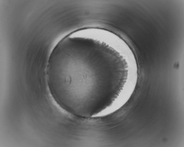 X0000113060951200910091140