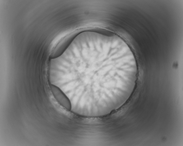 X0000113060952200910091140