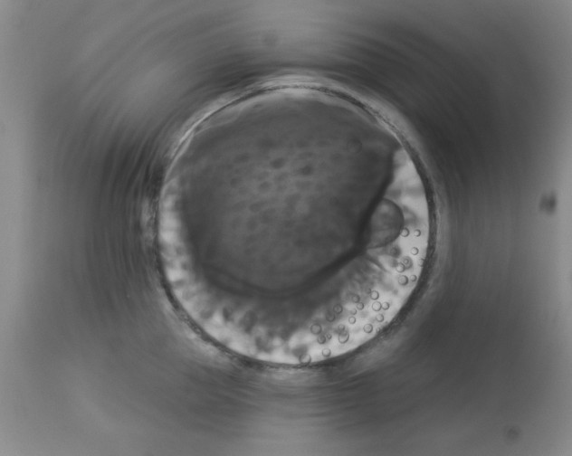 X0000113060953200910091140