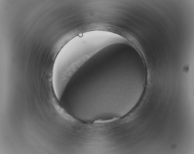 X0000113060954200910091140