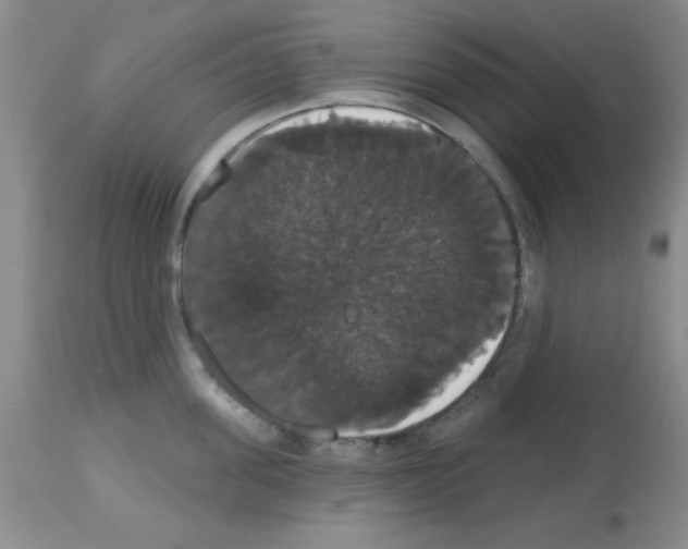 X0000113060955200910091140