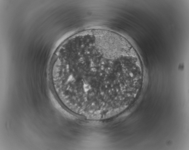 X0000113060957200910091140