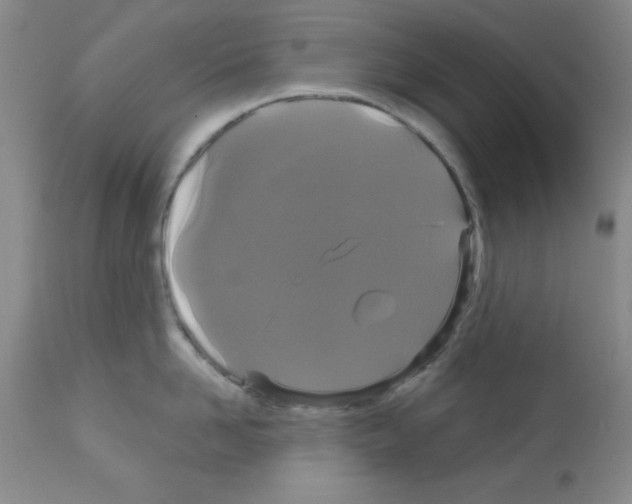 X0000113060958200910091140