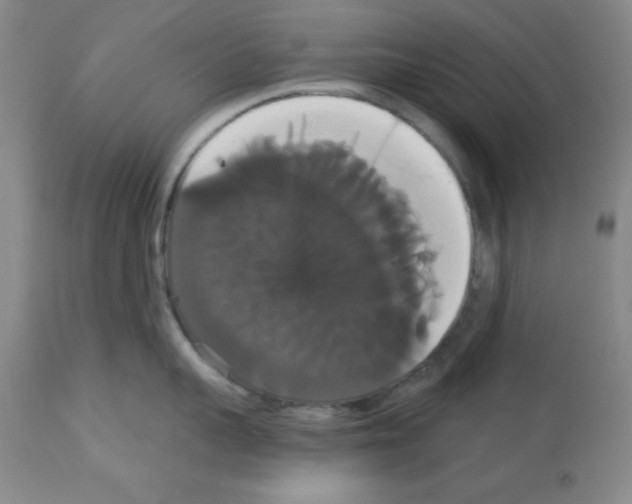 X0000113060959200910091140