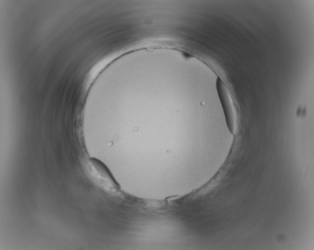 X0000113060960200910091140