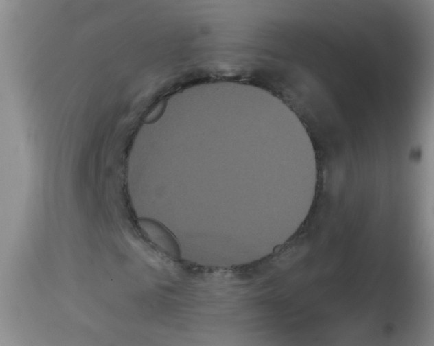 X0000113060961200910091139