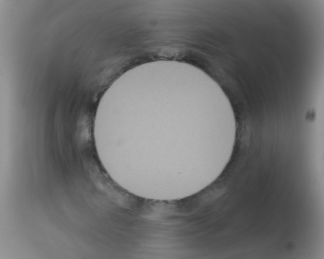 X0000113060962200910091139