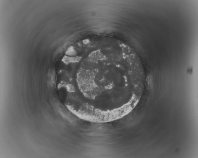 X0000113060963200910091139