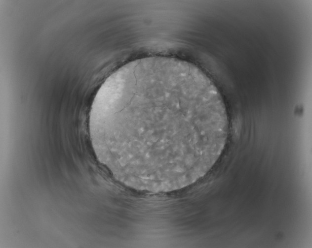 X0000113060964200910091139