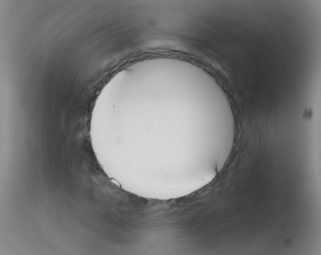 X0000113060965200910091139