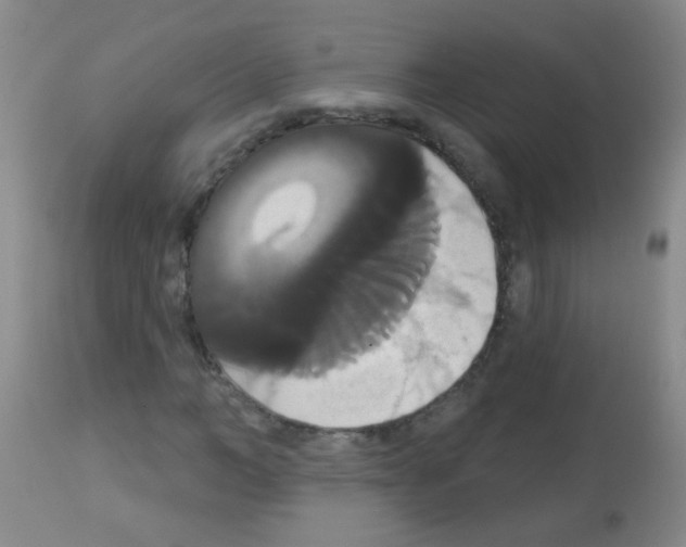 X0000113060966200910091139