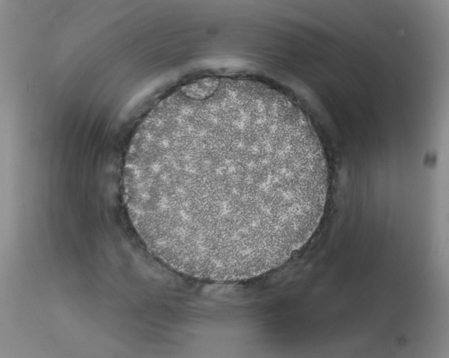 X0000113060967200910091139