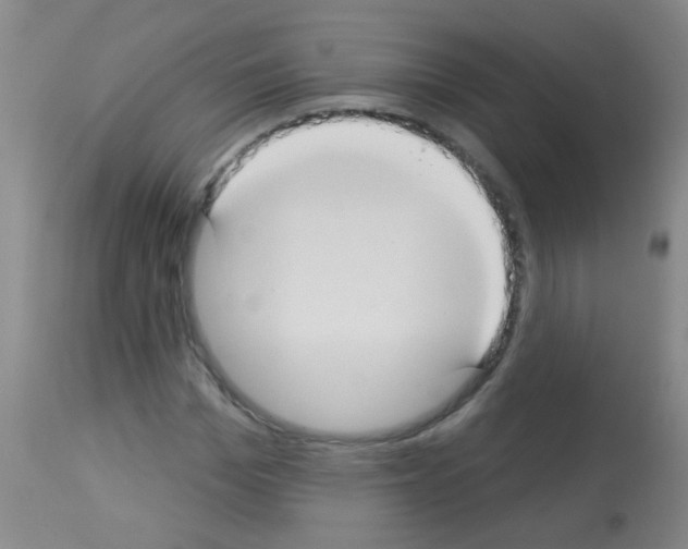 X0000113060969200910091139