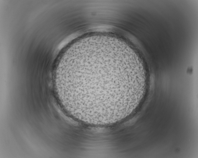 X0000113060970200910091139