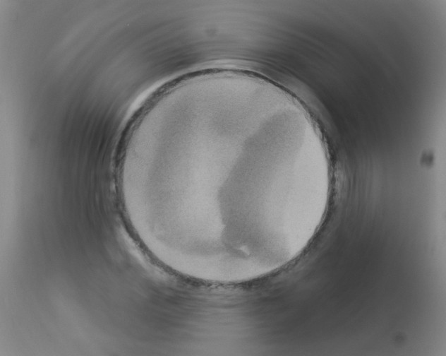 X0000113060972200910091139