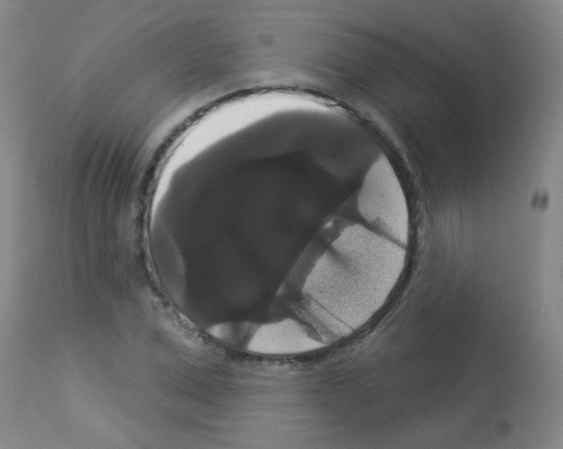 X0000113060975200910091139