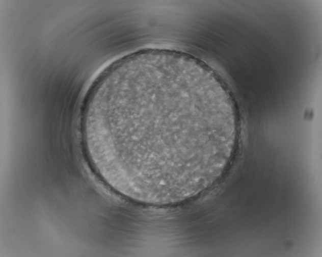 X0000113060976200910091139