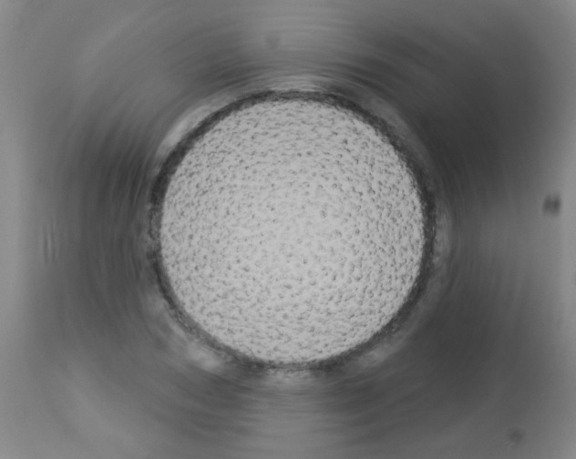 X0000113060978200910091139
