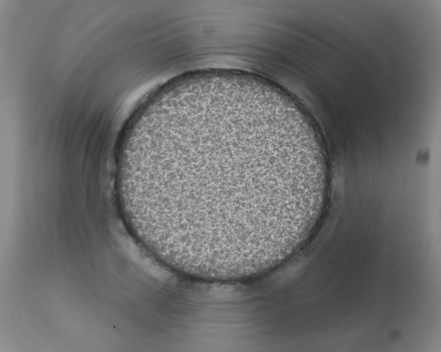 X0000113060979200910091139