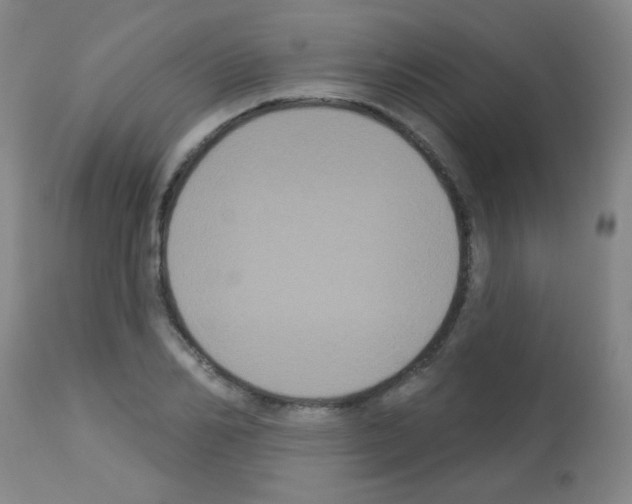 X0000113060982200910091139
