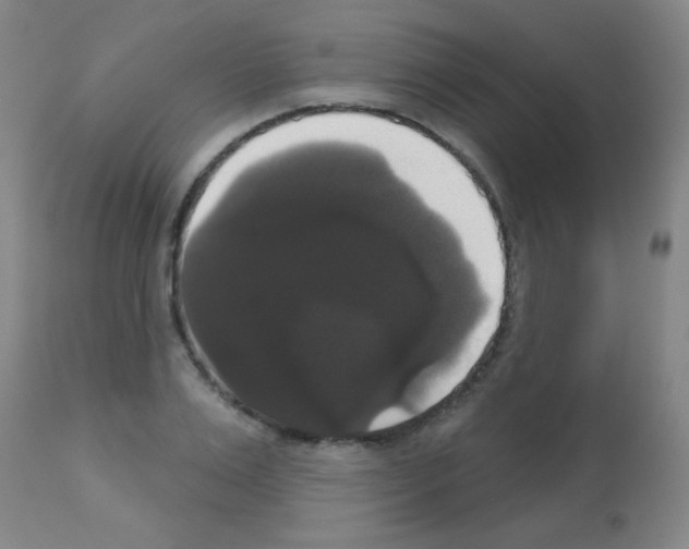 X0000113060983200910091139