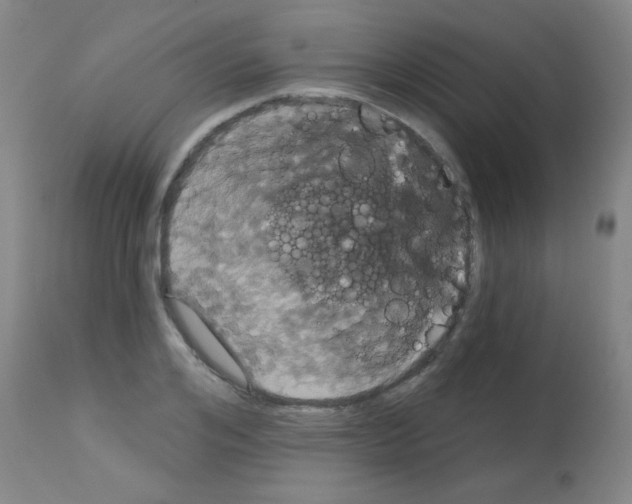 X0000113060984200910091139