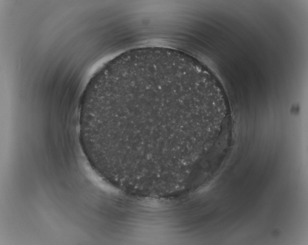 X0000113060987200910091139