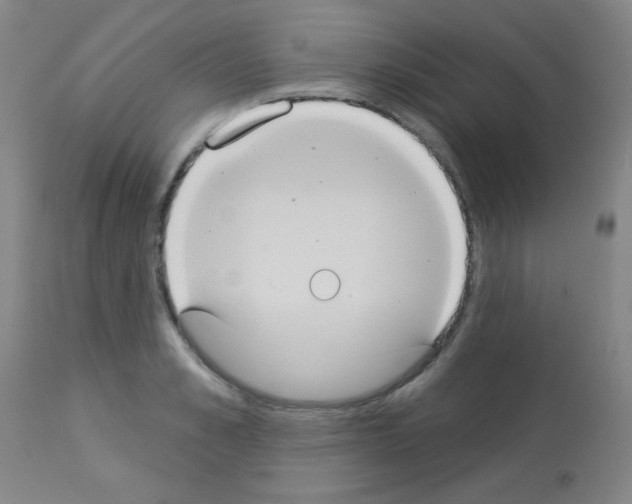 X0000113060989200910091139