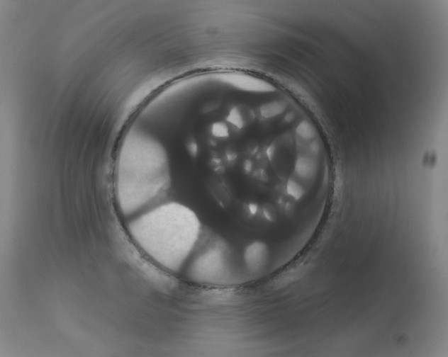 X0000113060990200910091139