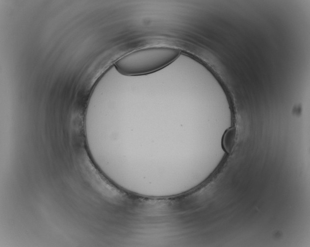 X0000113060993200910091138