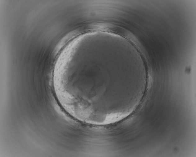 X0000113060994200910091138