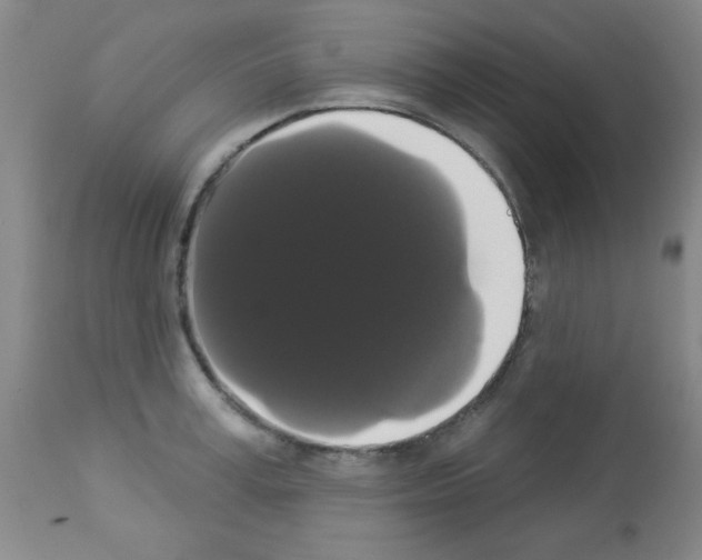 X0000113060995200910091138