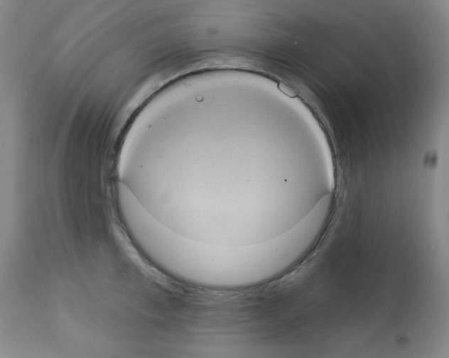 X0000113060997200910091138