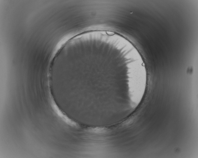 X0000113060998200910091138