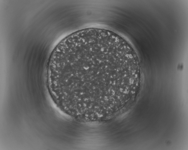 X0000113060999200910091138