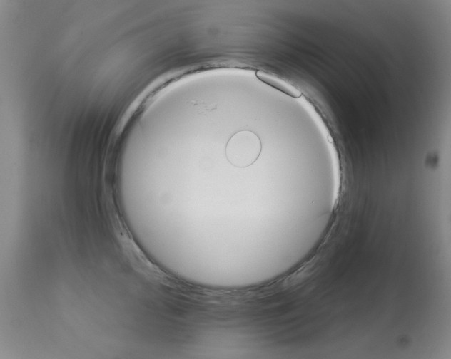X0000113061000200910091138