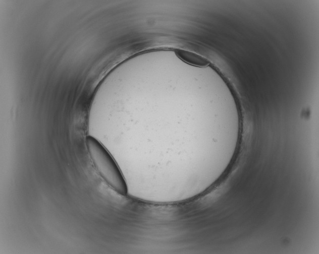 X0000113061001200910091138