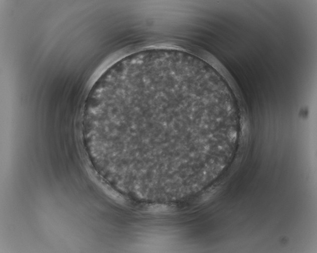 X0000113061002200910091138