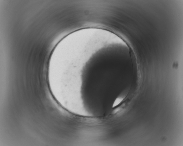 X0000113061007200910091138